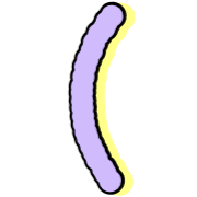 031