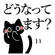 009