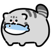 031