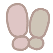016