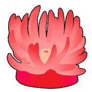029