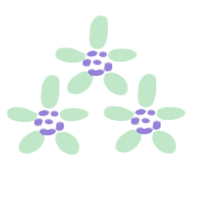 016