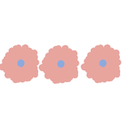 030