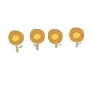 016