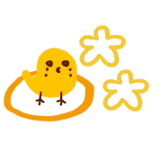 005