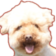 010