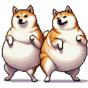 005