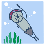 029