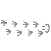 031