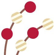 009