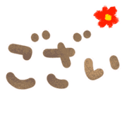 013