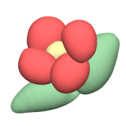 005