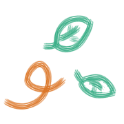 019