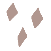 031