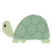 029