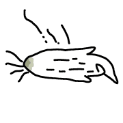 035