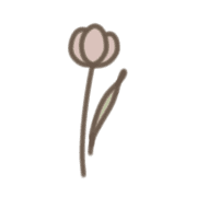 004