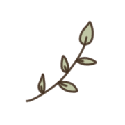 031