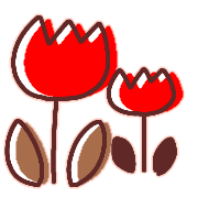 029