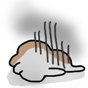 008