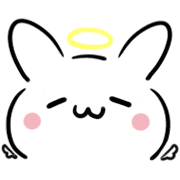 019