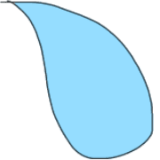 029