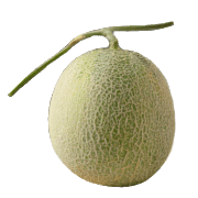 028