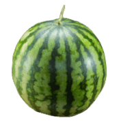 029
