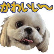 031