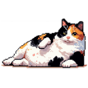 013