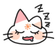 004