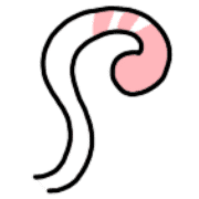 029