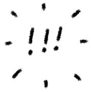 036