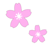 029