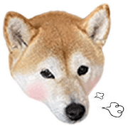 016