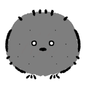 029