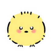 040