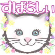 013