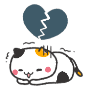 005