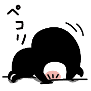 007