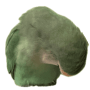 002