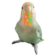 011
