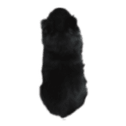 021