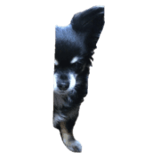 029