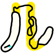 121