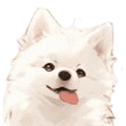 002