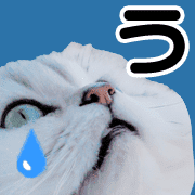 005
