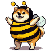 019