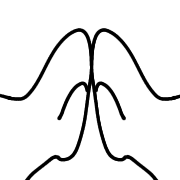 010