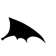 036